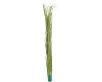 Europalms Kunstplant Gras Reed grass, lichtgroen, 127cm