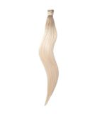 Rapunzel of Sweden Queue de cheval Lisse / À clip / Volume léger Blond platine clair Balayage B7.3/10.10 50 cm Extensions de cheveux