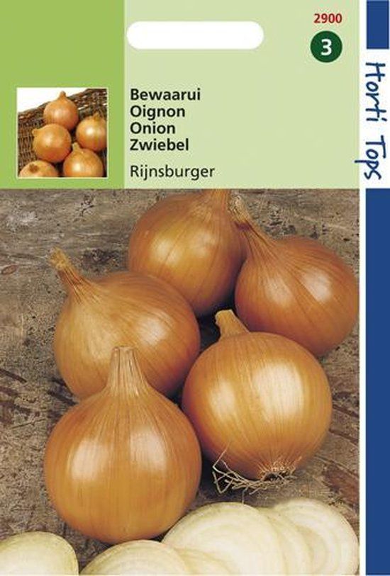 Hortitops Zaden - Uien Rijnsburger, Bolronde Gele