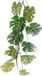 Everlands Monstera/gatenplant kunstplant slinger - 180 cm - groen