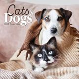 Cats Gifted Stationery Cats and Dogs - Katzen und Hunde 2027 - 16-Monatskalender