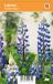 Concepts of Nature Lupine Lupinus 'Gallery Blue' vasteplant VIPSvips