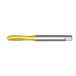 Dormer EP00TINM27-serie EP006TIN HSS-E-PM spiraalvormige puntmachinekraan, heldere afwerking, M27 x 3.00mm x 160mm