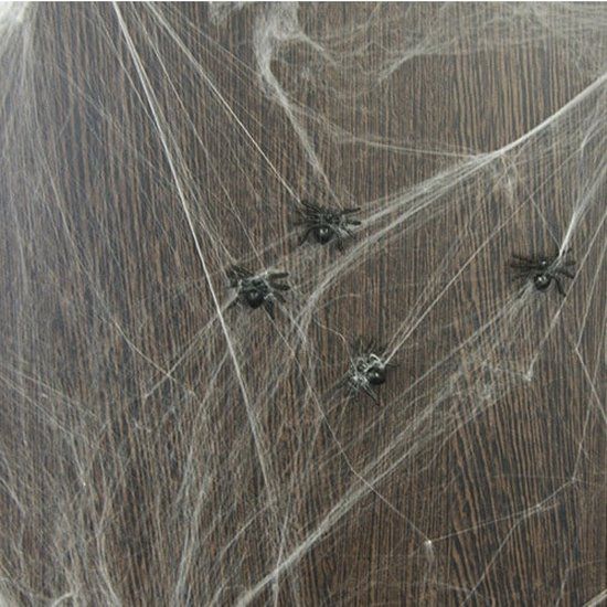 Folat Spinnenweb 20 Gram Met Spinnen