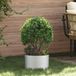 vidaXL Plantenring Zilver Staal 30 x 30 x 20 cm
