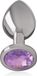 INTENSE ANAL TOYS Anal Plug Metal Violet Size S