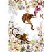 Papier peint panoramique singes 260 cm x 381 cm