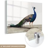 MuchoWow® Glass Painting 60x40 cm - Acrylic Glass Painting - Peacock - Feathers - Bird - Children - Boys - Girls - Photo on Glass - Paintings