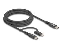 Delock 81171 USB-kabel 2 m USB C USB C/Lightning Zwart