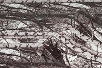 d-c-fix Meubelplakfolie - Hout 45 cm x 1,5 m