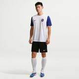 Nike Chelsea T-shirt d'Entraînement Dri-FIT Strike 3ème - Blanc/Bleu - X-Large