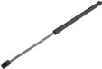 Set Mercedes Gasveer achterklep OEM 1697400045 voor Mercedes A-Klasse W168