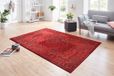Hanse Home Vintage vloerkleed Plume - rood 200x290 cm
