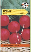 Oranjeband Zaden Oranjeband Radijs Topsi