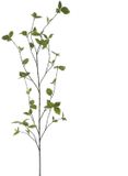 Buitengewoon Boet Kunsttak Fagus Spray Green - 163 cm
