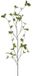 Buitengewoon Boet Kunsttak Fagus Spray Green - 163 cm