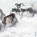 Devil And The Almighty Blues - II (CD)