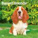 Basset BrownTrout Basset Hounds 2027 - 16-Monatskalender