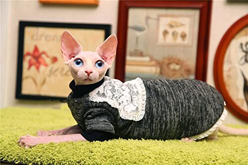 ZHIHAN Sphinx kattenkleding haarloze kat winter dikke warme trui, donkergrijs, 36