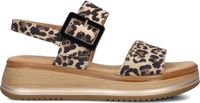 Gabor 744.4 Sandalen Dames Bruin Maat 37,5