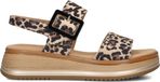 Gabor 744.4 Sandalen Dames Bruin Maat 37,5