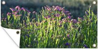 Merkloos / Sans marque GreatGardenPosters B.V. Tuinposter 160x80 cm - Limonium bloemen in groen landschap