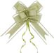Ruban Cadeau Vert Grand 10 Pièces