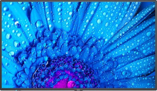 NEC MultiSync M491 49" 4K Ultra HD IPS Monitor