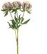Buitengewoon Boet Kunstbloem Paeony Marlie Bundle Crème - 63 cm