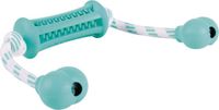 Trixie Denta Fun Stick met touw, natuurlijk rubber, 9 cm/37 cm, muntsmaak