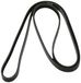 DAYCO 4PK1770 riem Poly V, zwart