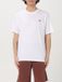 DICKIES Ss Mapleton Tee - Blanc