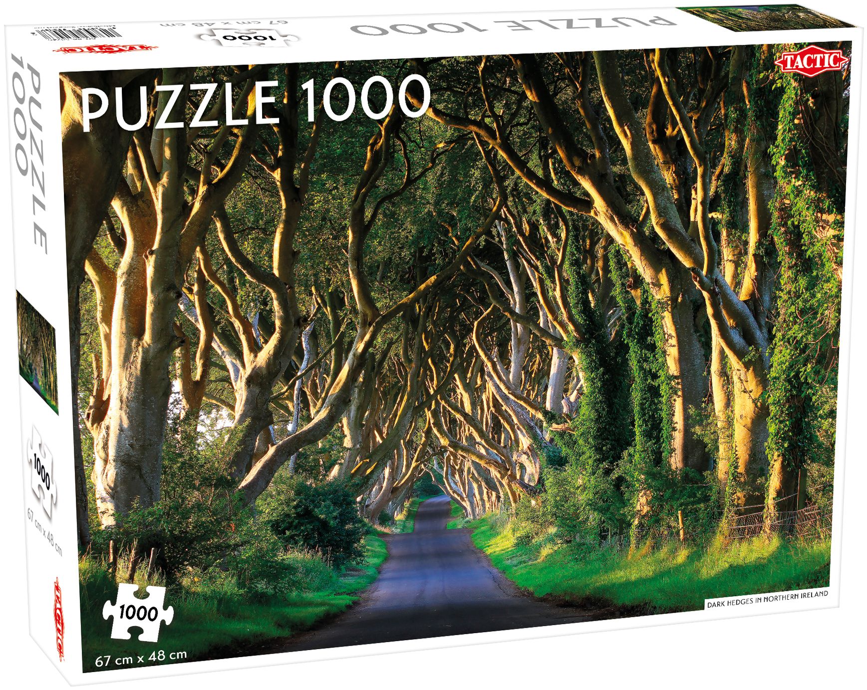 Tactic Dark Hedges in Northern Ireland - 1000 Stukjes