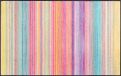 wash+dry Amplio Espectro Deurmat, wasbaar, voor binnen en buiten, 75 x 120 cm