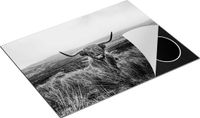 Chefcare Inductie Beschermer Groen Bos met Zonlicht - Zwart Wit - 77x59 cm