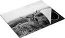 Chefcare Inductie Beschermer Groen Bos met Zonlicht - Zwart Wit - 77x59 cm