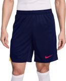 Nike Strike Dri-Fit Short Paars Heren M