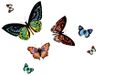 d-c-fix tafelkleed – Rio Papilio (29 x 44 cm)