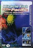 Megamoviestore Miracle Fish -Relaxation-