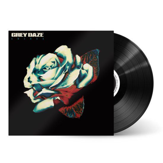 Grey Daze Amends (LP)