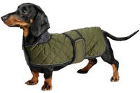 Manteau d'hiver imperméable pour teckels - Vert armée