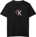 Calvin Klein T-shirt Homme Coton Noir XL