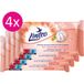 Linteo Personal hygiene Vochtige doekjes 10x4 st