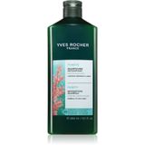 Yves Rocher Detox Shampoo voor vet haar, reinigende shampoo voor hoofdhuid, schoon haar, 48 uur, sulfaatvrij en siliconenvrij, biologische algen, Bretagne, 94% natuurlijk, 300 ml