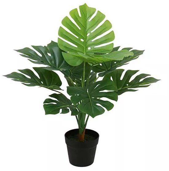 Buitengewoon Boet Buitengewoon de Boet Monstera 70 cm kunstplant