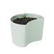 RIG-TIG Pot avec graines YOUR TREE Vert (Pin)