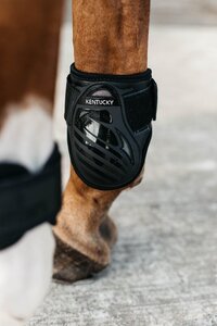 Kentucky Horsewear Young Horse Fetlock Boots - Black - Size S