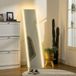 Homcom Passpiegel - Gehard Glas - Metaal - Transparant - 40x3x150 cm