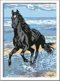 Ravensburger CreArt 28565 - Paard op het strand - Schilderij op nummer voor kinderen vanaf 11 jaar, schilderset met lijst, penseel en acrylverf, cadeau voor meisjes en jongens, met stickers
