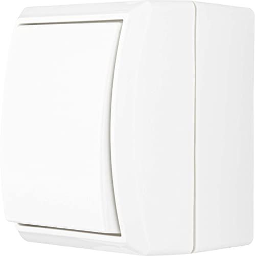 REV Ritter 0510273555 AquaForm AP uit-wisselschakelaar, wit